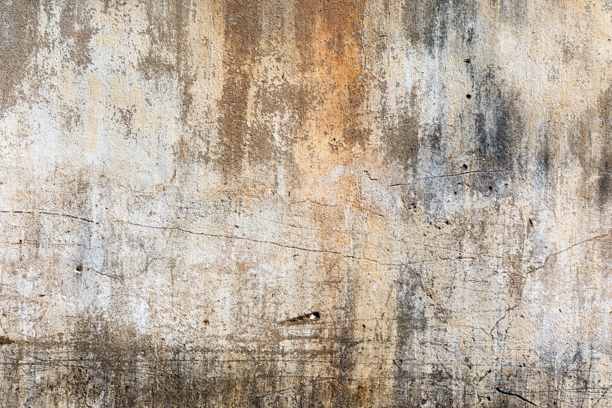 Collection background